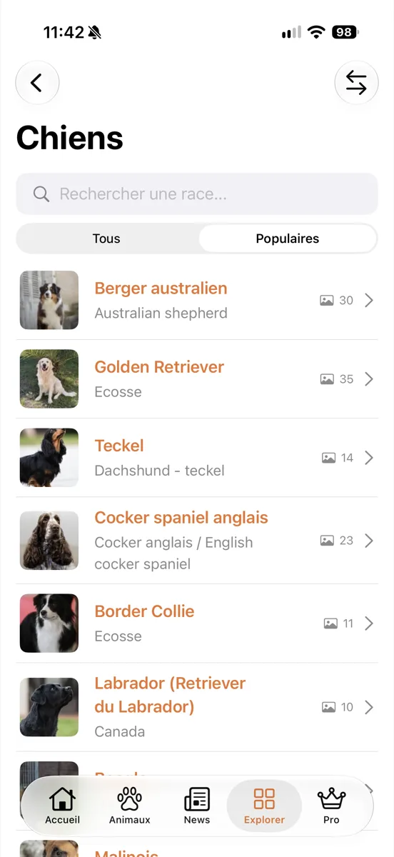 Fiches races