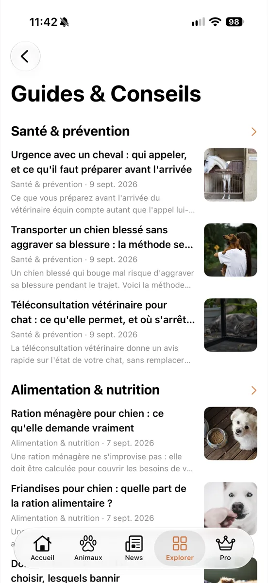 Guides et conseils
