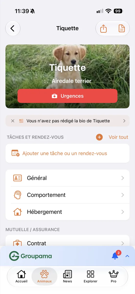 Haut de la fiche animal